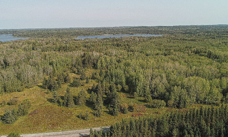 43 Acre Lakefront Pr...