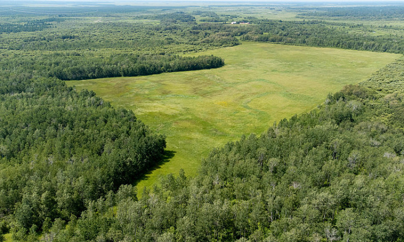160 Acres Firefly La...