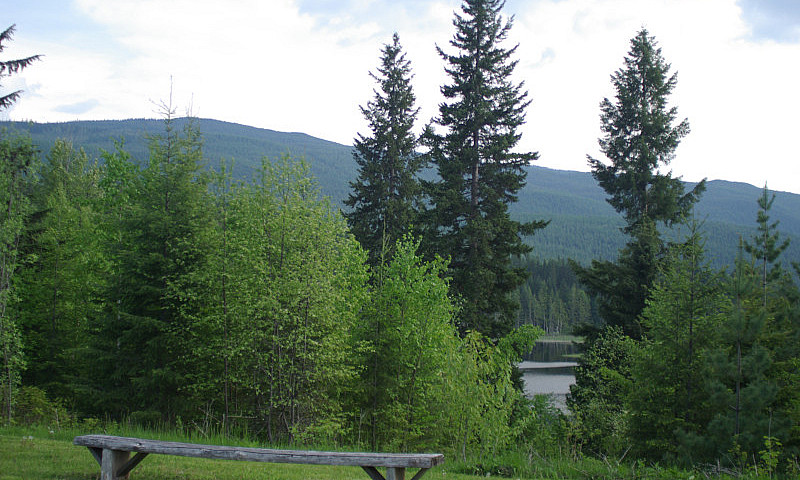 20 Waterfront Acres ...