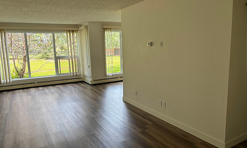 18+ Spacious One Bed...