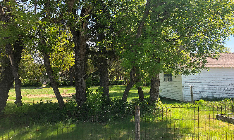 Beautiful Double Lot...