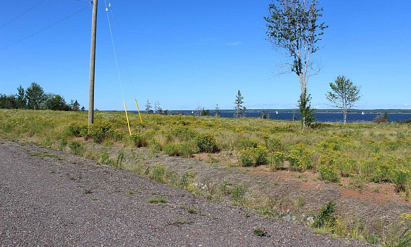 Sand Point Rd, Colch...