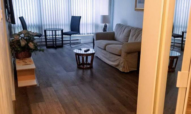 Furnished One Bedroo...