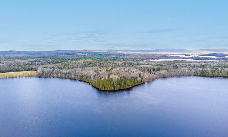 Waterfront 1 Acres L...