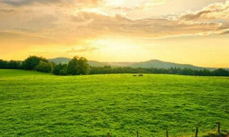 Land For Sale - Niag...