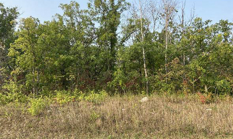 16 Lakespeak Cres, H...