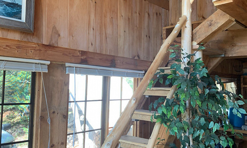 Off Grid Cabin ...