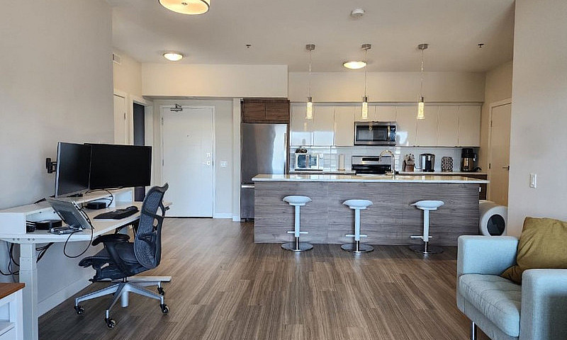 Bright & Spacious Co...