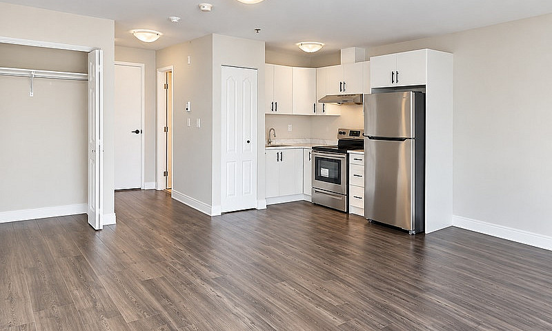 Freshly Renovated 1-...