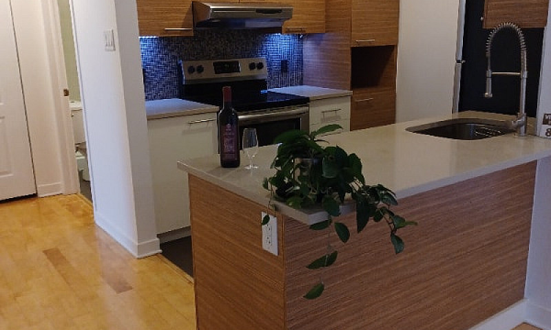 Logement 4 1/2 Ville...