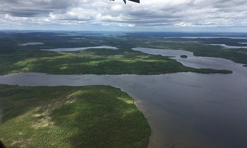 For Sale – Fly In Fi...
