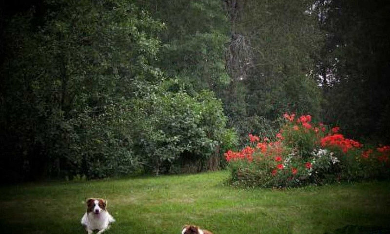 Yard And 400 Acres O...