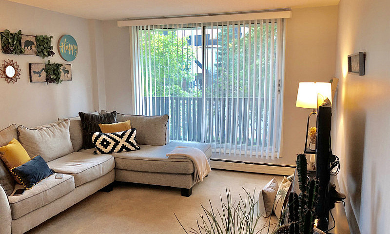 Fantastic 1 Bed. Apa...