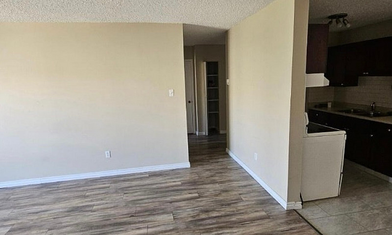Apartment Condo For ...