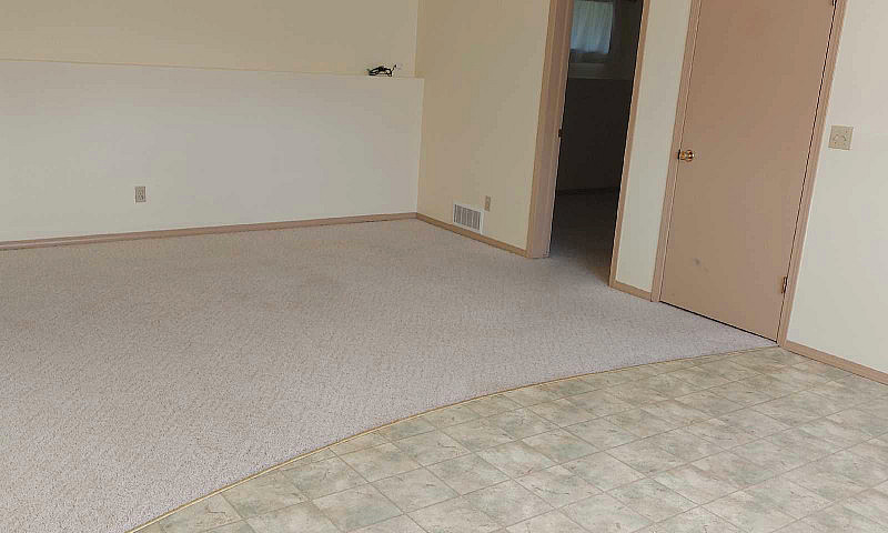 One Bedroom Basement...