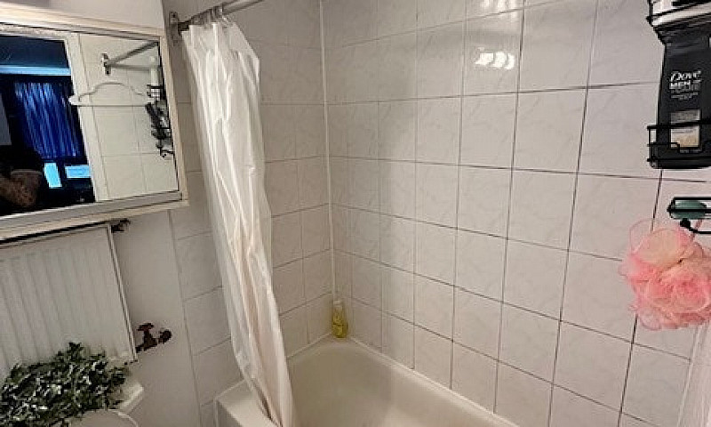 One Bedroom Apartmen...