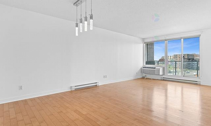 Amazing Superb Condo...