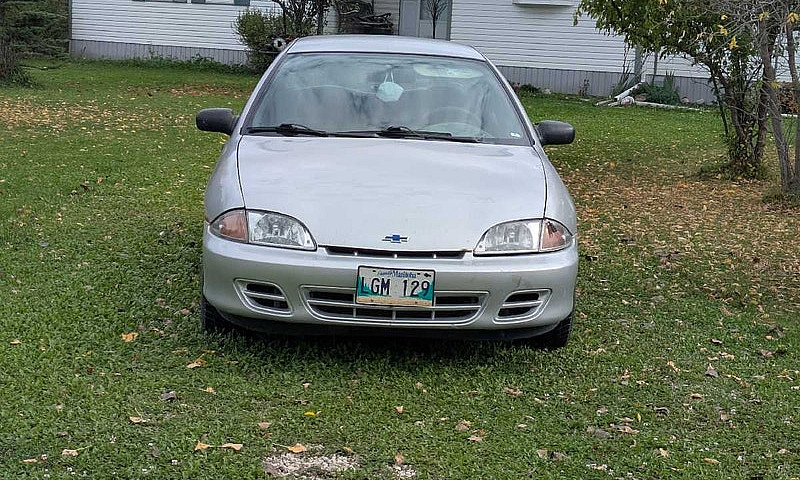 Saftied 2002 Cavalie...