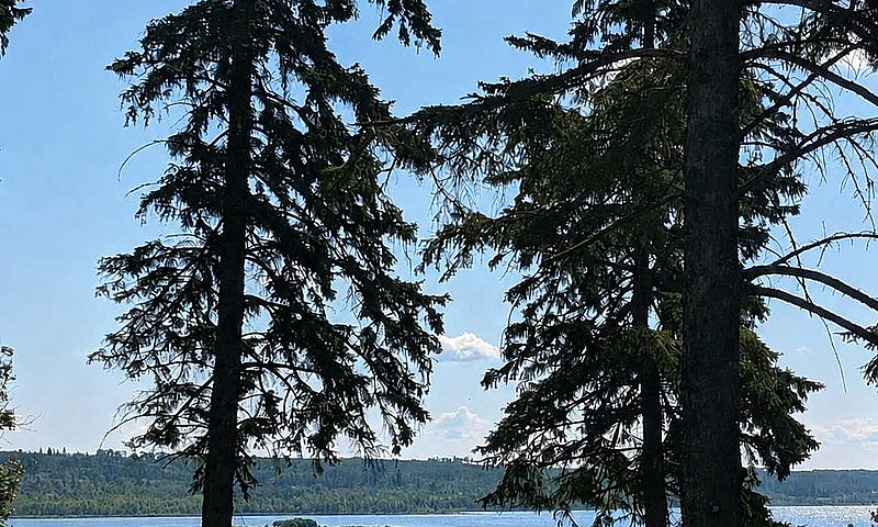 Lake Lot At Fork Lak...