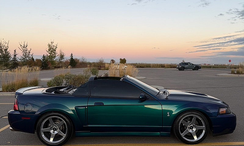 2004 Ford Mustang Co...