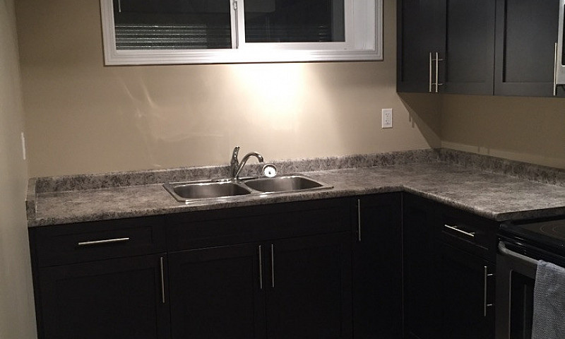Basement Suite (1 Be...