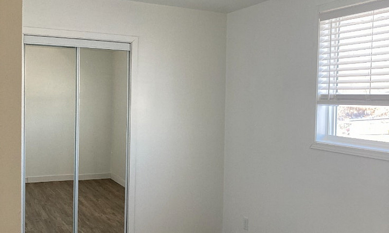 1 Bedroom Apartment ...