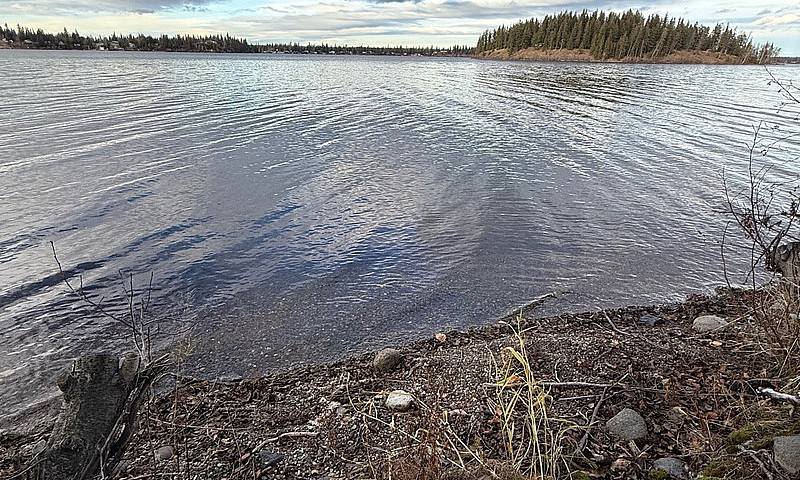 Cluculz Lake Propert...