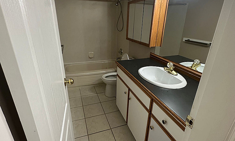 3 Bedroom Basement F...