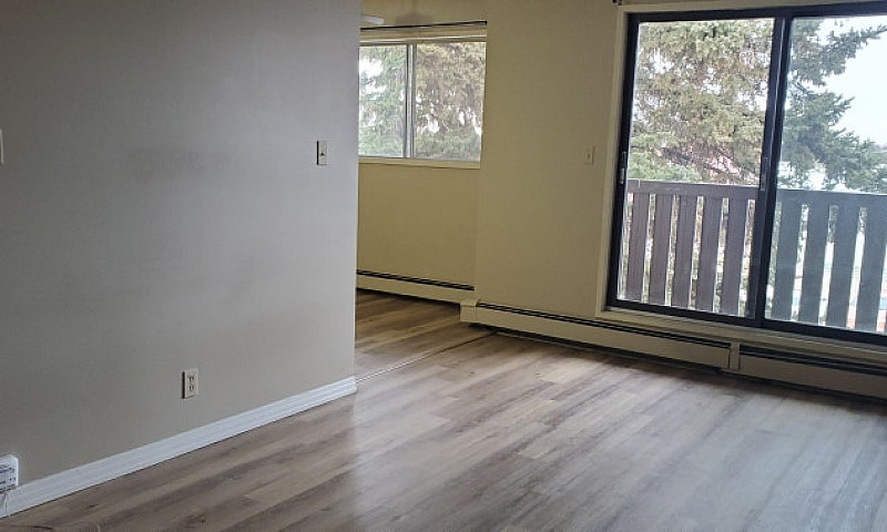 One Bedroom Apartmen...