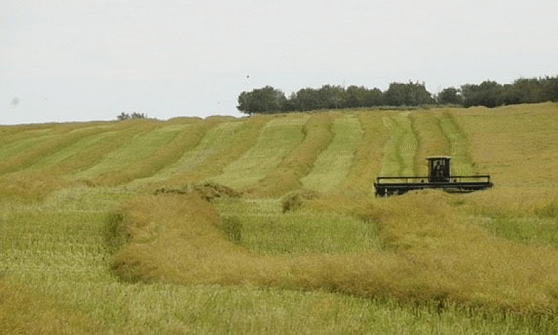 1,085 Acres For Sale...