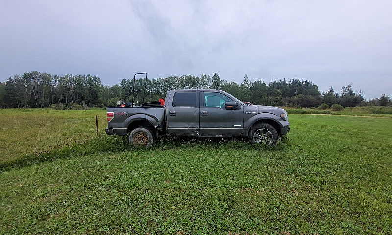 2013 Ford F150 Ecobo...