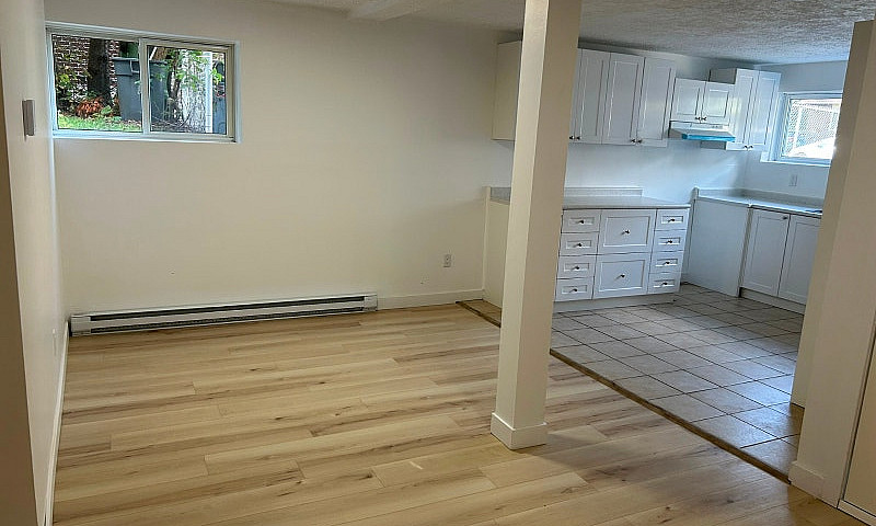 Large 4 1/2 Renovate...