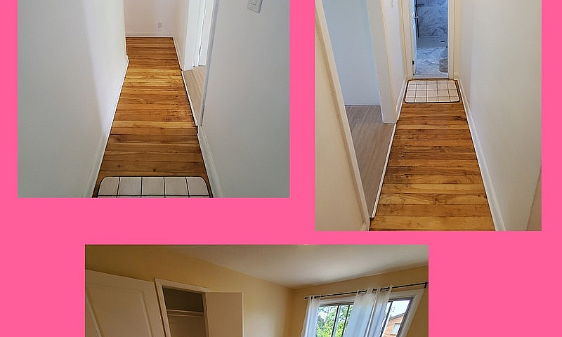 4.5 Fully Renovated ...