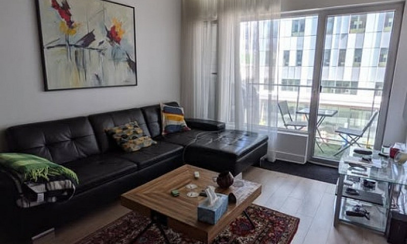 1 Bedroom Downtown C...