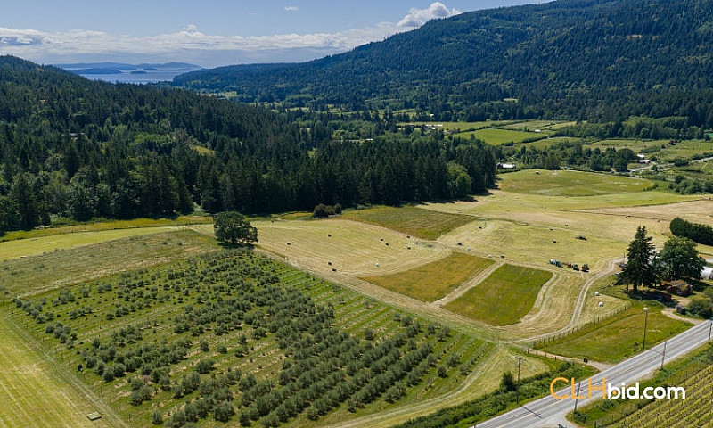 73.67 Acre Olive Far...