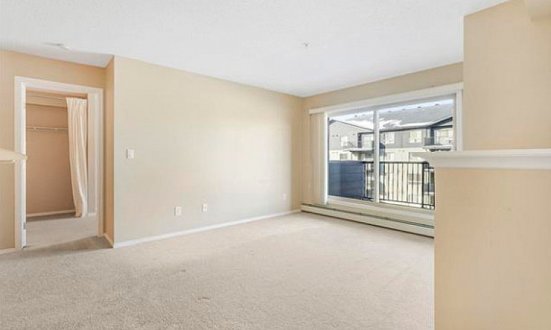 Stylish, Move-In Rea...