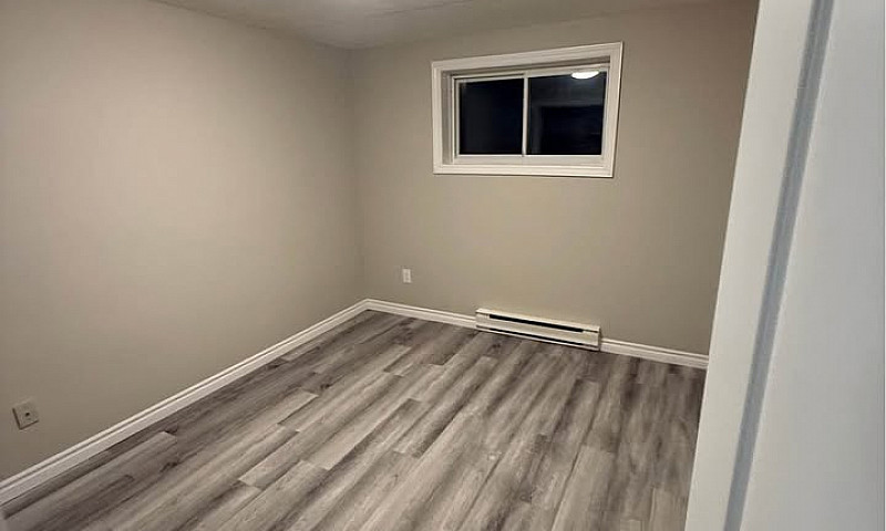 Newly Renovated Apar...