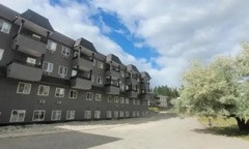 1 Bedroom Apartment ...