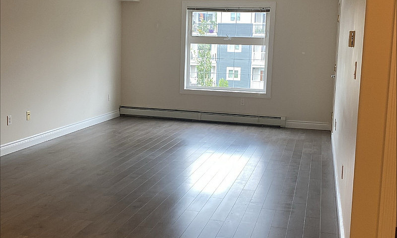 Adult Only Apt.build...