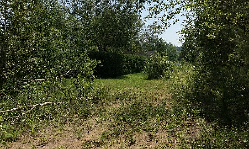 Beau Grand Terrain P...