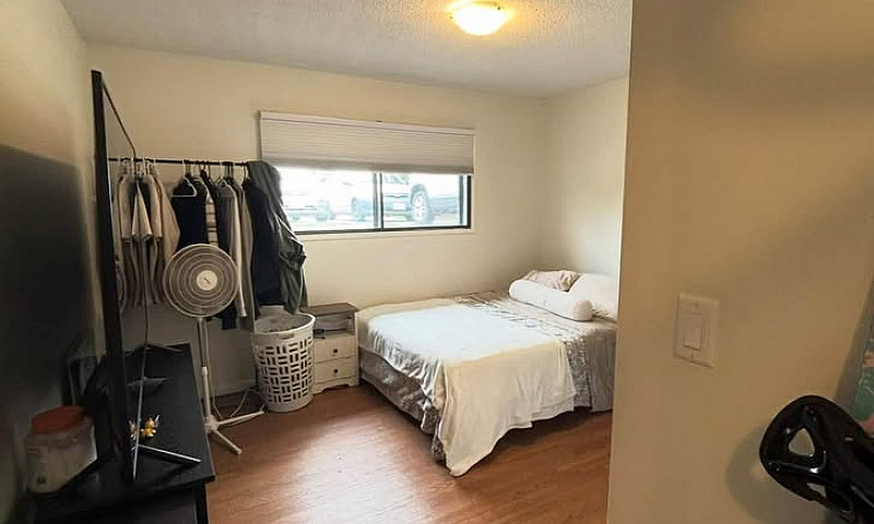2 Bedroom, 1 Bathroo...