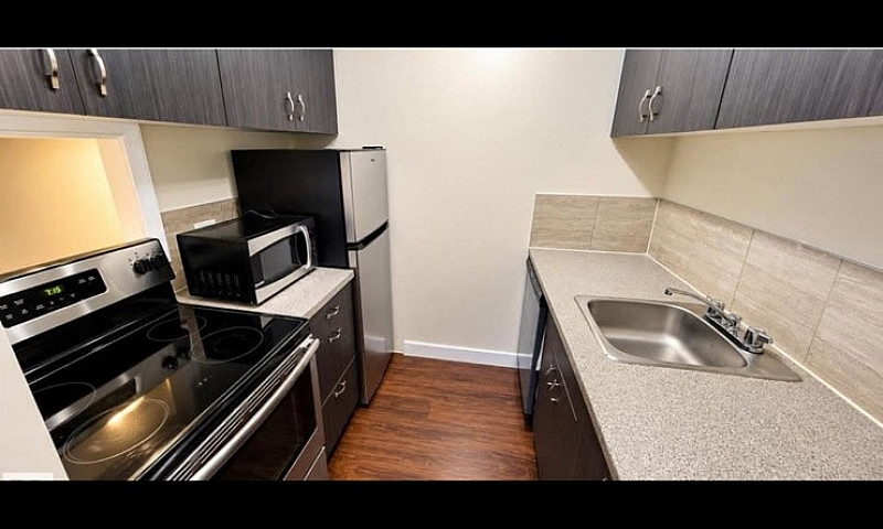 1 Bedroom Renovated ...