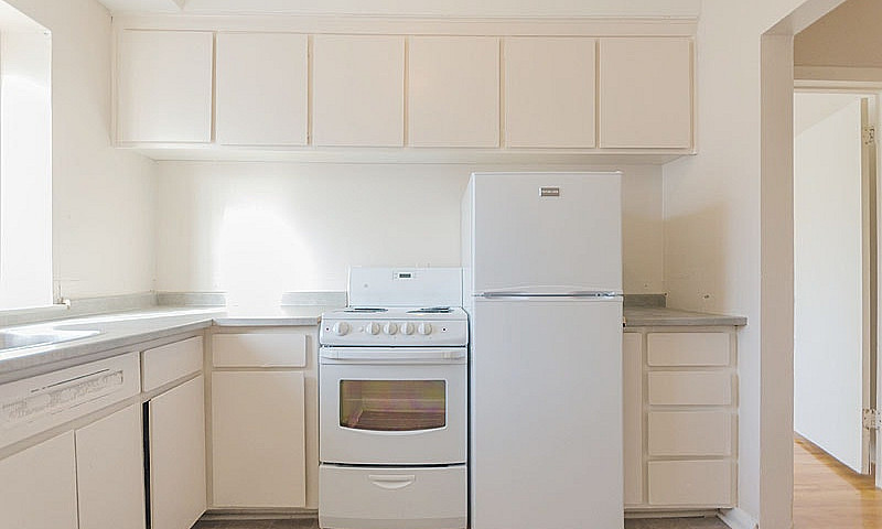 Executive 1-Br Suite...