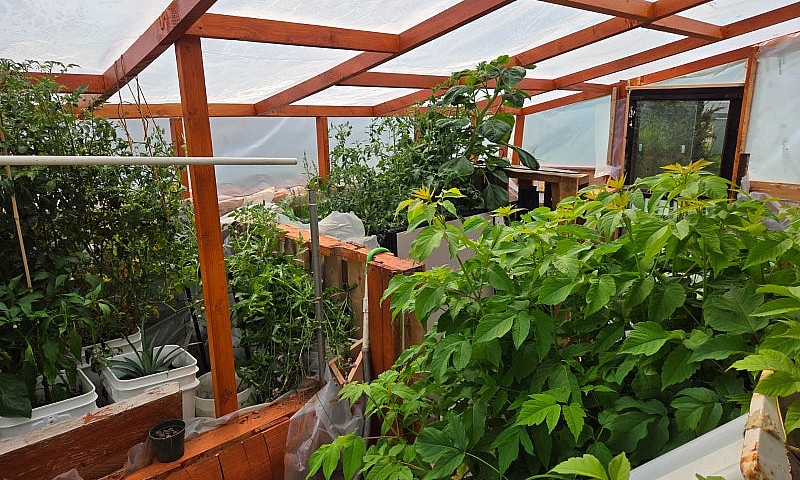 Ohato 3 Bedroom On D...