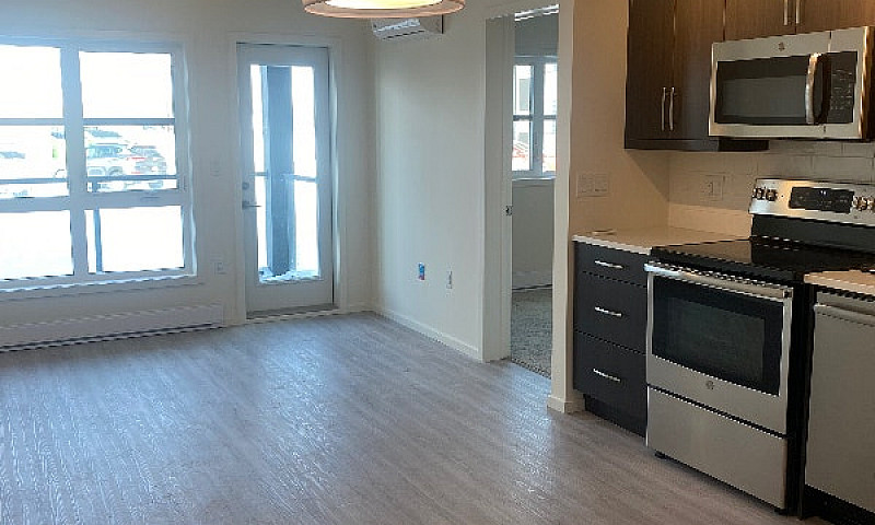 Modern Condo South O...