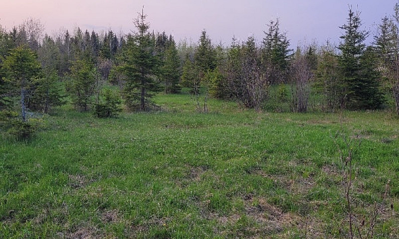 Land In Off Grid Com...