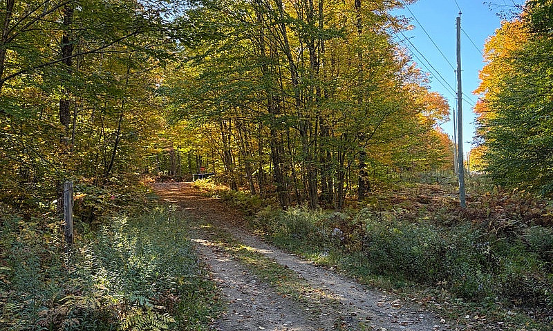 Terrain De 6 Acres A...