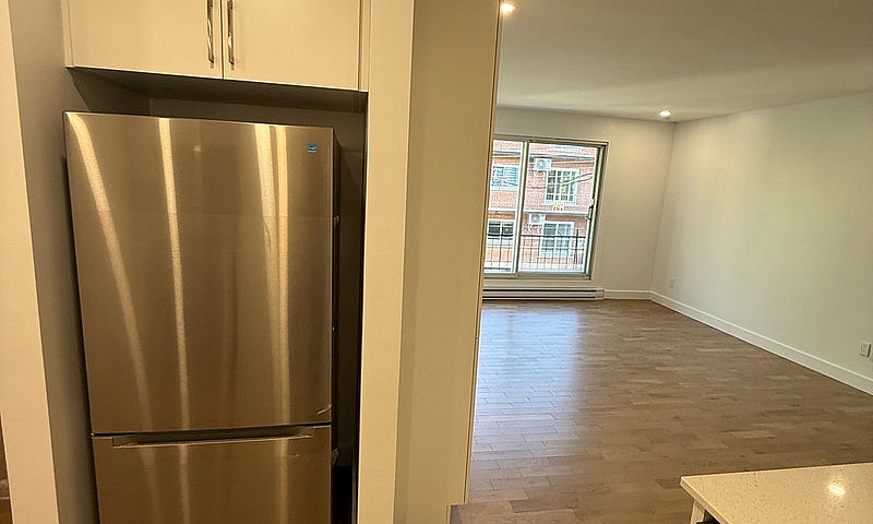 3 1/2 Newly Renovate...