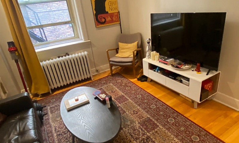 Renovated 4 1/2 In B...