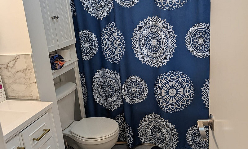 3 Bedroom 1 Bath Nee...